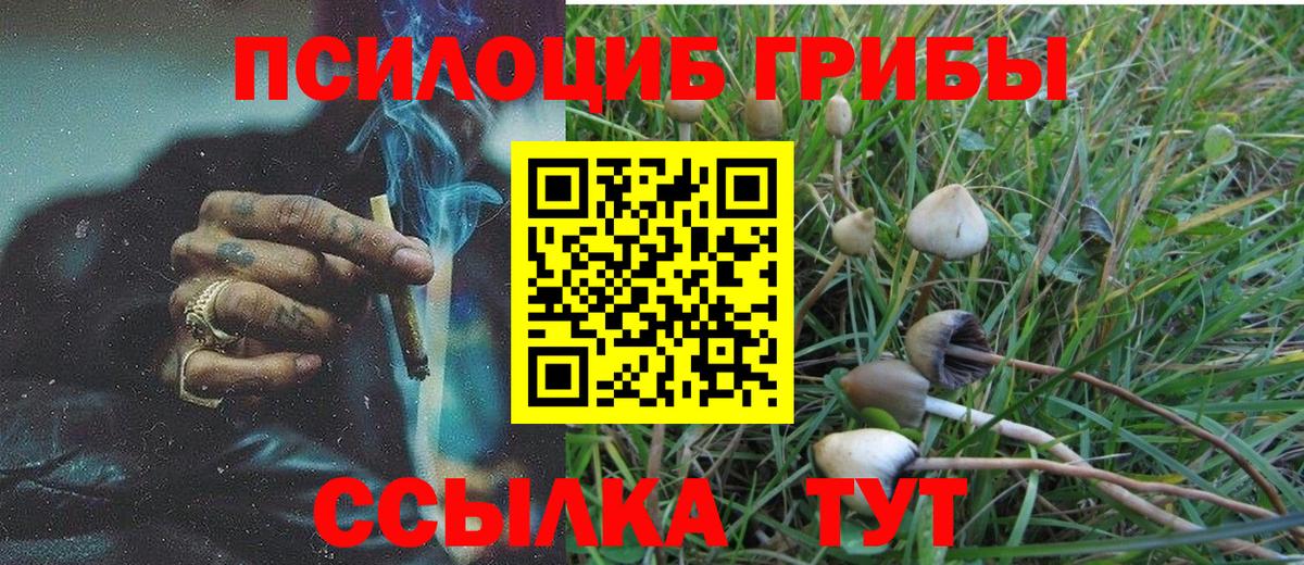 Галлюциногенные грибы ЛСД Омск