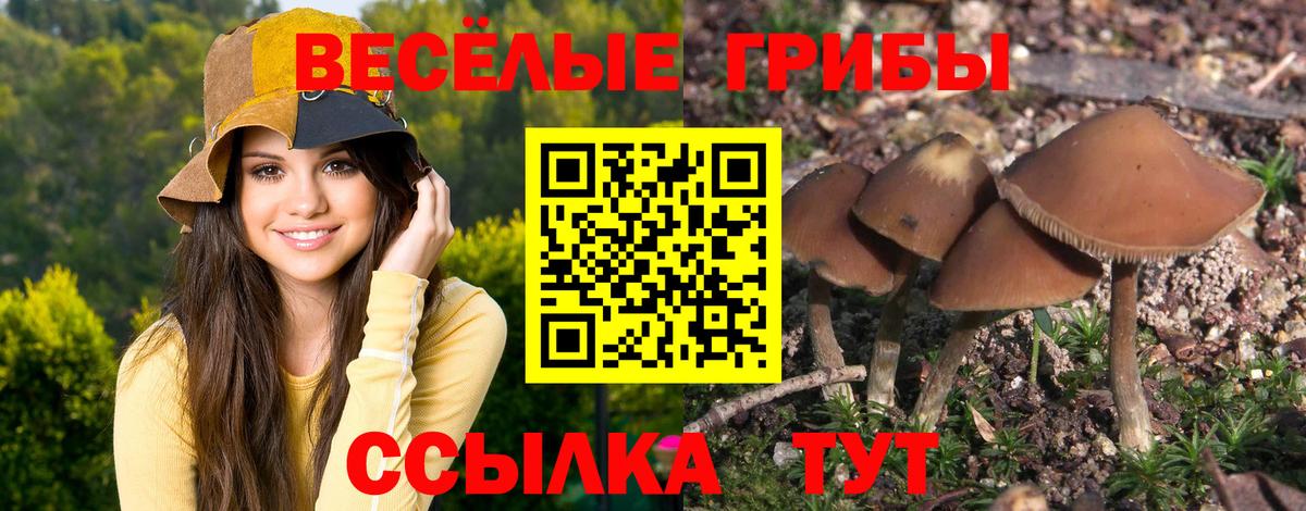 Омск  Галлюциногенные грибы GOLDEN TEACHER  Вход с VPN 